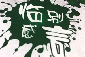 成都西南財經(jīng)大學(xué)2011屆大學(xué)畢業(yè)紀念冊-同學(xué)錄