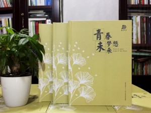 大彎中學(xué)2017屆畢業(yè)紀(jì)念冊定制-畢業(yè)照片書