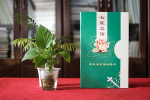 透過生態(tài)餐廳菜譜排版制作案例-講解中餐廳設(shè)計(jì)菜單應(yīng)該注意什么?