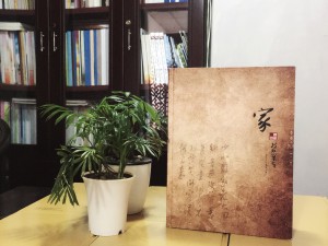 陳氏個(gè)性圖文家譜-個(gè)性創(chuàng)意族譜設(shè)計(jì)制作