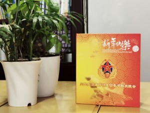 春節(jié)聯(lián)歡晚會(huì)-DVD視頻光盤(pán)盒制作-CD光盤(pán)卡書(shū)定做