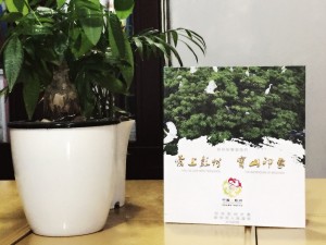 彭州寶山-城市形象宣傳片光盤包裝盒設計制作