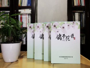 鴿子花開-歌手EP光盤卡書-光盤包裝盒-成都光盤印刷