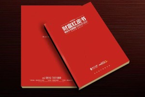 真正高端的房地產企業(yè)宣傳畫冊設計 擺脫創(chuàng)意文案 廣告照樣牛逼！