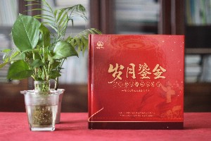 黨建畫冊設(shè)計-制作單位黨建工作紀(jì)實圖冊