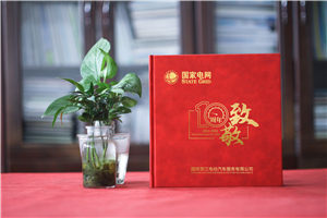 企業(yè)十周年慶典圖畫冊-國家電網(wǎng)公司成立10周年贈送成長紀(jì)念冊