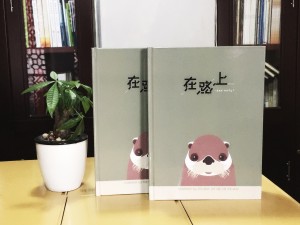 二十周年結(jié)婚紀(jì)念冊(cè)-相愛(ài)二十年紀(jì)念相冊(cè)