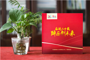 企業(yè)20年畫冊-公司廠慶回憶錄周年大事記書籍設(shè)計(jì)制作