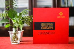 學(xué)校成立三十年慶典留念相冊(cè)-30周年校慶紀(jì)念冊(cè)設(shè)計(jì)