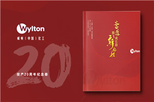 化工企業(yè)20周年紀(jì)念冊設(shè)計-公司整合發(fā)展大事記畫冊