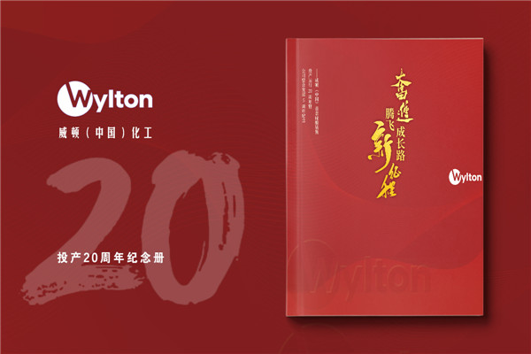 化工企業(yè)20周年紀念冊設(shè)計-公司整合發(fā)展大事記畫冊