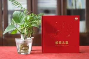 川交路橋木里項(xiàng)目?？O(shè)計(jì)制作-企業(yè)活動(dòng)紀(jì)念冊