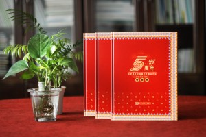 單位十周年慶紀(jì)念相冊方案-企業(yè)周年冊怎么設(shè)計比較大氣