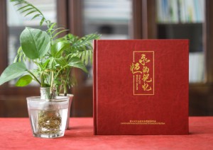 市政工程建設(shè)資料照片做電子紀(jì)念相冊-獻(xiàn)給參與項目的大家一本影集