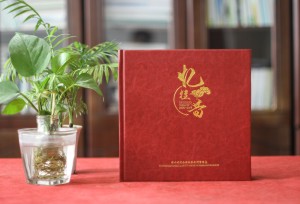 工程竣工畫冊策劃-水庫景觀項目開工及交工紀(jì)念相冊-工程完工圖冊