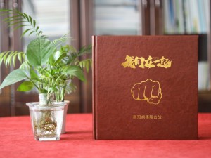 向新冠病毒抗疫英雄致敬紀念相冊制作-疫情結(jié)束工作總結(jié)照片影集