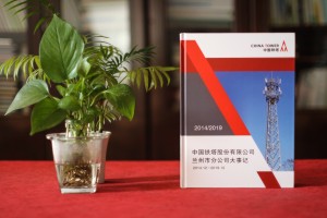 周年慶畫冊(cè)設(shè)計(jì)公司哪家好-哪里可以做單位二十周年慶紀(jì)念冊(cè)