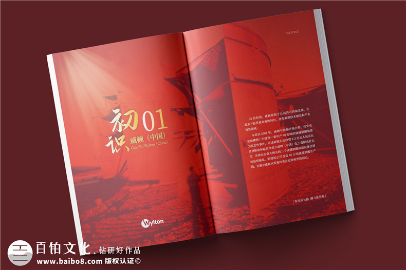 化工企業(yè)20周年紀(jì)念冊(cè)設(shè)計(jì)-公司整合發(fā)展大事記畫(huà)冊(cè)