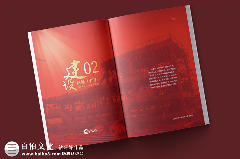 化工企業(yè)20周年紀(jì)念冊(cè)設(shè)計(jì)-公司整合發(fā)展大事記畫(huà)冊(cè)