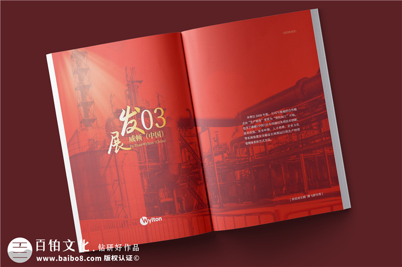 化工企業(yè)20周年紀(jì)念冊(cè)設(shè)計(jì)-公司整合發(fā)展大事記畫(huà)冊(cè)