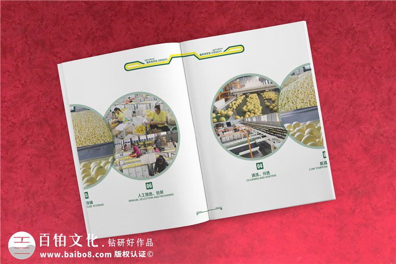 【水果宣傳冊設計】 農業(yè)公司農產品畫冊制作 樣本冊印刷