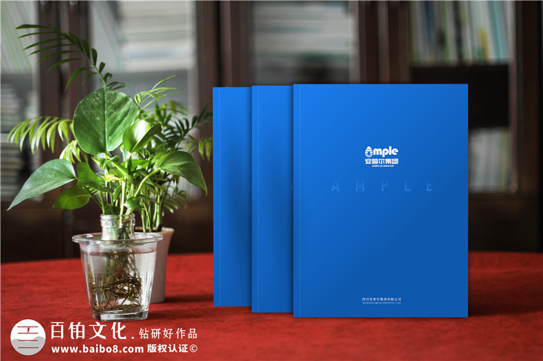 企業(yè)形象宣傳冊設計的步驟有哪些第1張-宣傳畫冊,紀念冊設計制作-價格費用,文案模板,印刷裝訂,尺寸大小