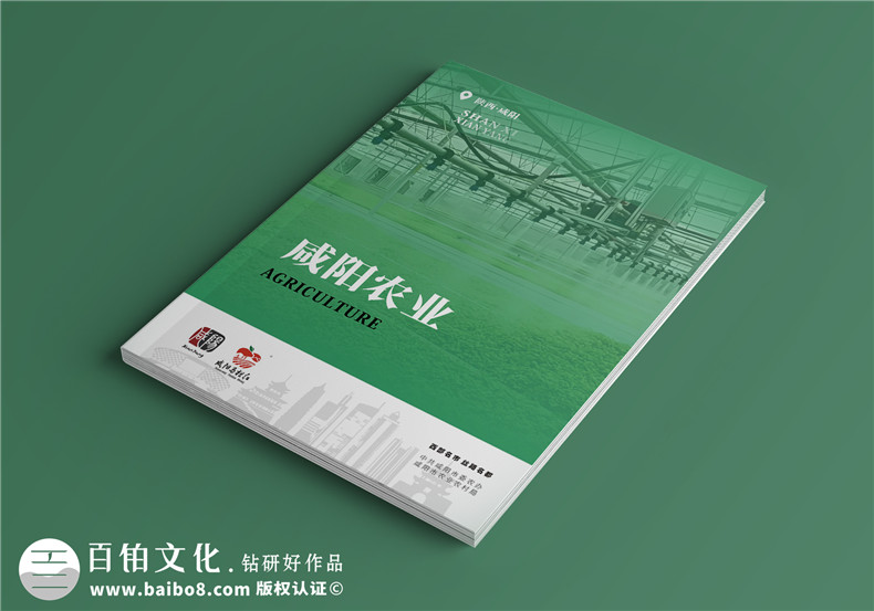 企業(yè)品牌畫冊怎么做-專人專事完成設計任務第1張-宣傳畫冊,紀念冊設計制作-價格費用,文案模板,印刷裝訂,尺寸大小