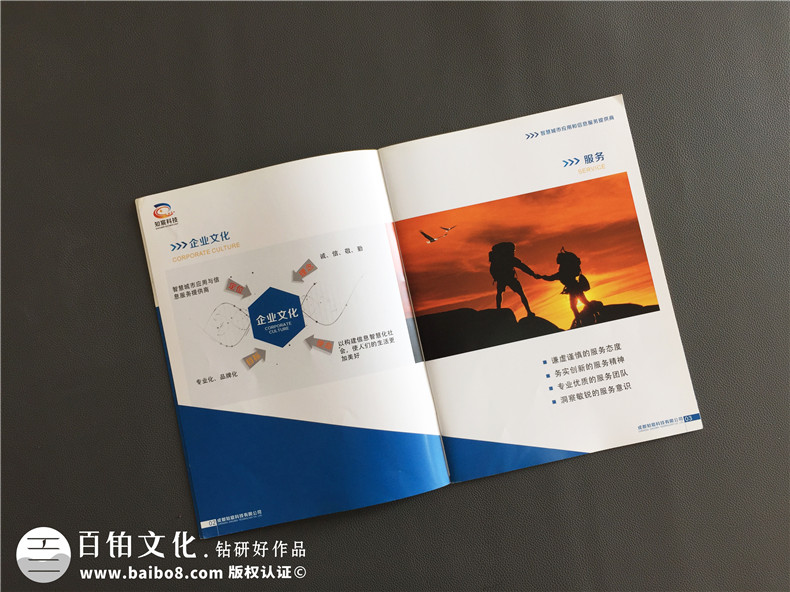 軟件操作系統(tǒng)公司宣傳畫冊制作-企業(yè)宣傳冊設(shè)計(jì)