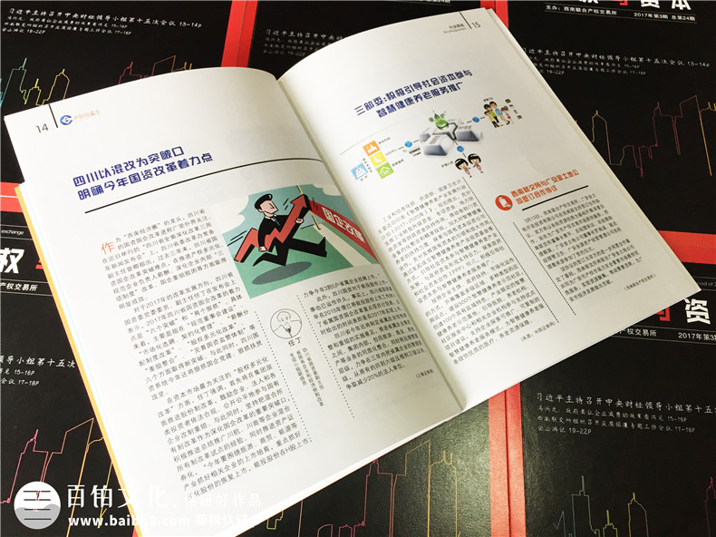 《產(chǎn)權(quán)與資本》企業(yè)內(nèi)刊設(shè)計-公司形象畫冊