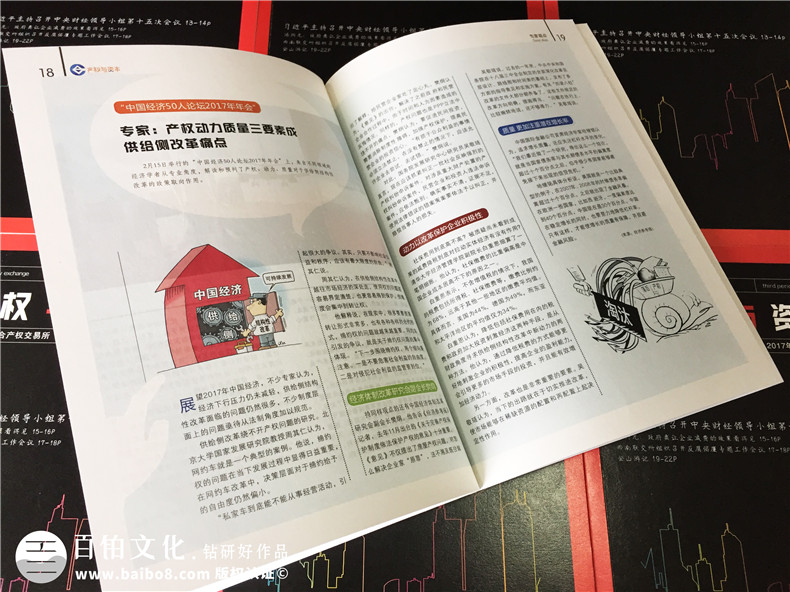 《產(chǎn)權(quán)與資本》企業(yè)內(nèi)刊設(shè)計-公司形象畫冊