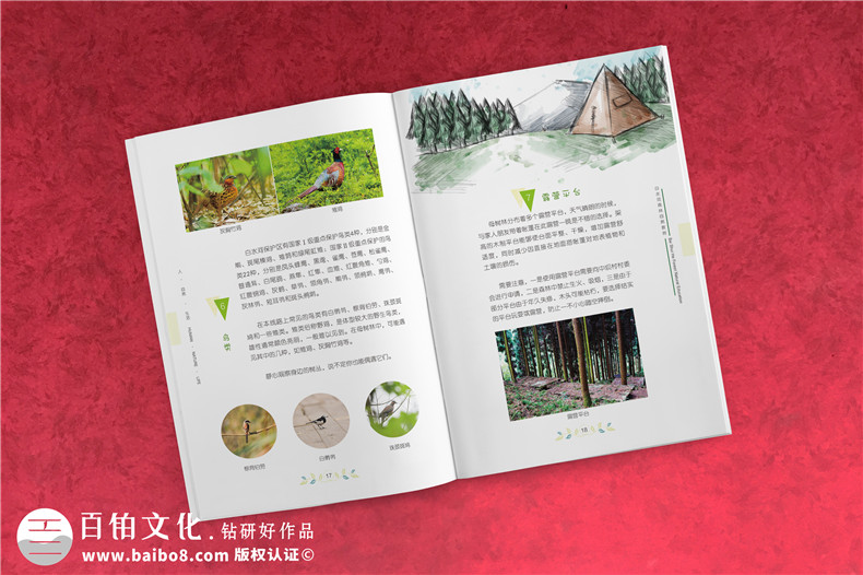 景區(qū)宣傳畫冊內頁版式設計-旅游景點森林自然資源教育手冊怎么做?