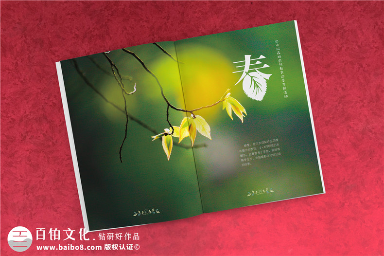 景區(qū)宣傳冊應(yīng)該怎么設(shè)計第2張-宣傳畫冊,紀念冊設(shè)計制作-價格費用,文案模板,印刷裝訂,尺寸大小