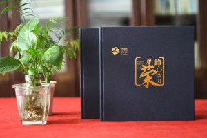 公司領(lǐng)導(dǎo)卸任離崗紀(jì)念相冊模板-看精美高檔的影集案例學(xué)怎么排版?