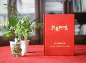 新冠病毒抗疫紀念相冊設計-送奮戰(zhàn)在疫情前線領導同事的留念畫冊