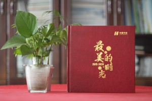 供電局女領導調動紀念影集-發(fā)電力公司領導退休回憶畫冊怎么設計