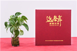 駐村第一書記幫扶工作紀(jì)念冊-駐村指導(dǎo)員工作隊(duì)紀(jì)實(shí)畫冊