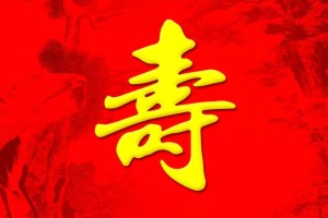 給老人祝壽生日相冊設(shè)計制作-家庭影集紀(jì)念冊定制