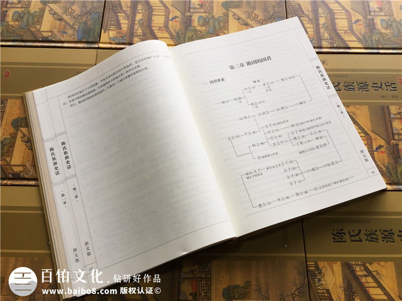 家譜制作-收集家族信息制定合理的家譜設(shè)計方案第3張-宣傳畫冊,紀(jì)念冊設(shè)計制作-價格費用,文案模板,印刷裝訂,尺寸大小