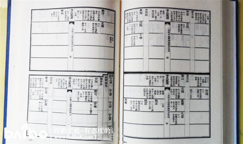 家譜設(shè)計(jì)的內(nèi)容